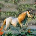 licorne