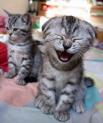 grrrrrrrrrrr