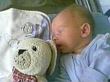 nicolas