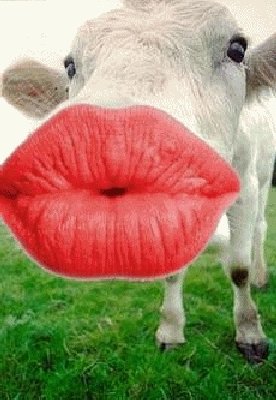 fait moi un bisou