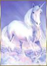 licorne