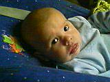 nicolas